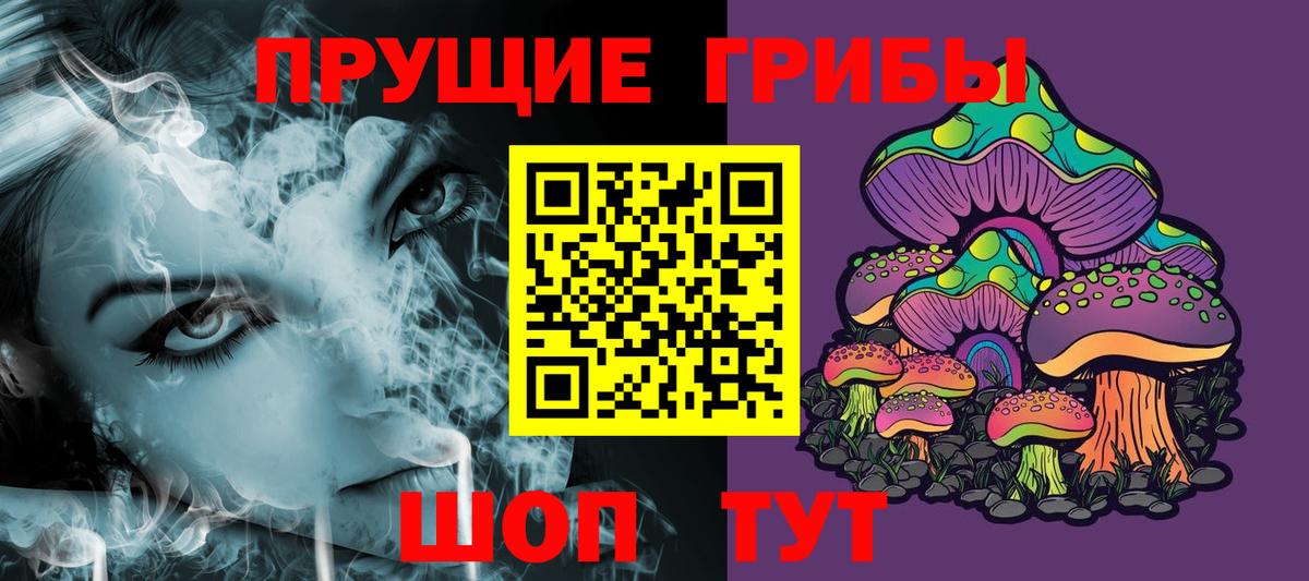 Псилоцибиновые грибы прущие грибы Малгобек