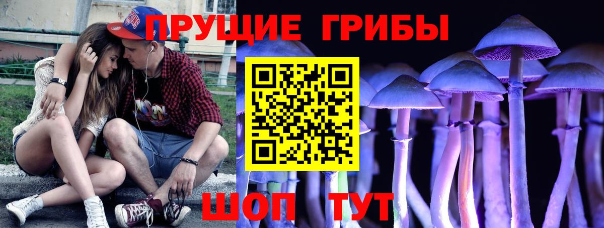 Малгобек  Псилоцибиновые грибы мицелий  Вход с VPN 